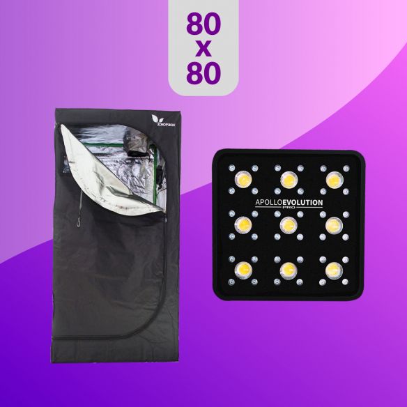 PACK LED INDOOR 80X80 APOLLO EVOLUTION PRO 9 - 300W BÁSICO