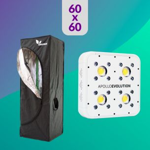 PACK 60X60 LED APOLLO EVO 4...