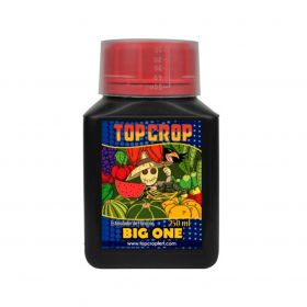 BIG ONE 250ML-TOP CROP