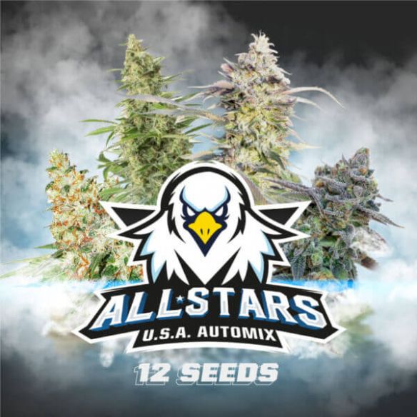BSF Seeds All Stars Usa Automix X12