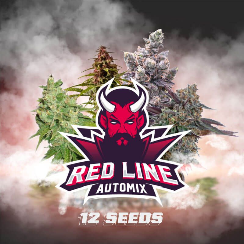 BSF Seeds Red Line Automix X12