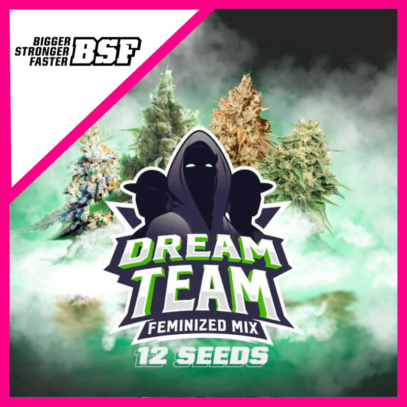 BSF Seeds Dream Team Mix Fem X12