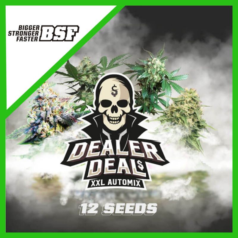 BSF Seeds Dealer Deal XXL Automix  X12