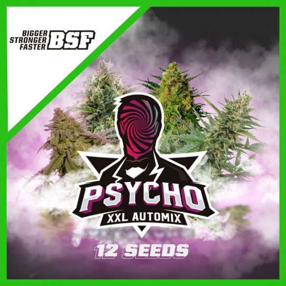 BSF Seeds Psycho XXL Automix X12