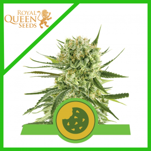 ROYAL COOKIES USA PREMIUM...