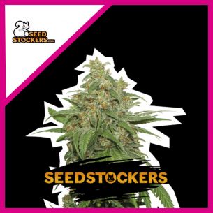 AK420 FEM X3-SEEDSTOCKERS