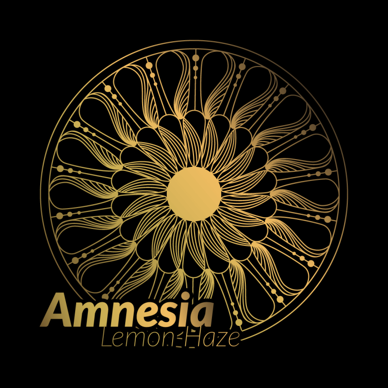 Reserva Privada Astro - Amnesia Lemon Haze Fem x 3+1