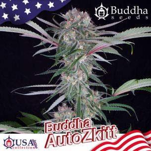 ZKITT AUTO X3+1-BUDDHA SEEDS