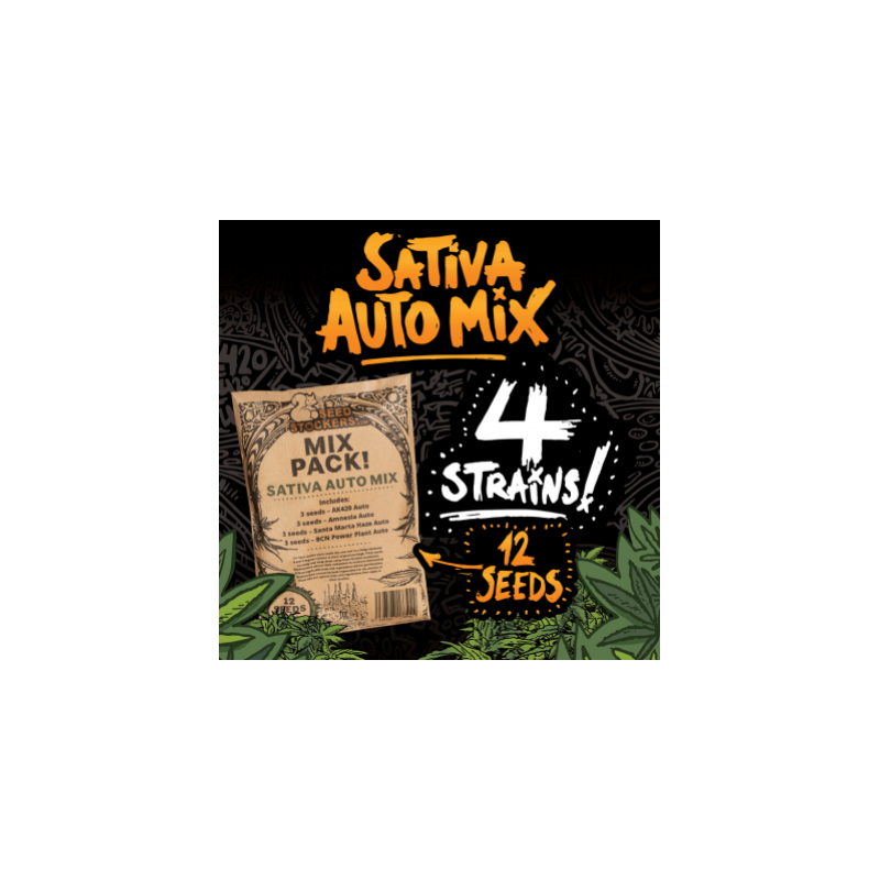 Seed Stockers Sativa Auto Mix X12