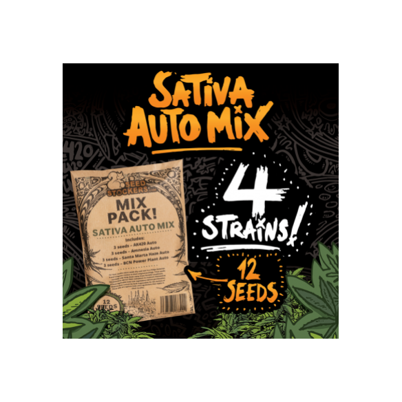 Seed Stockers Sativa Auto Mix X12