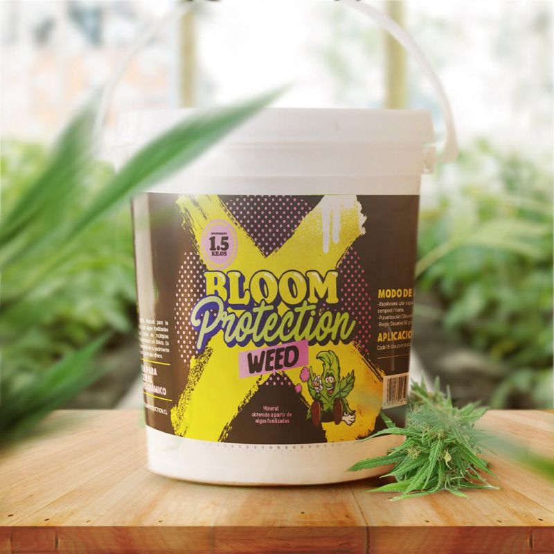 Bloom Protection Diatomeas 1500g