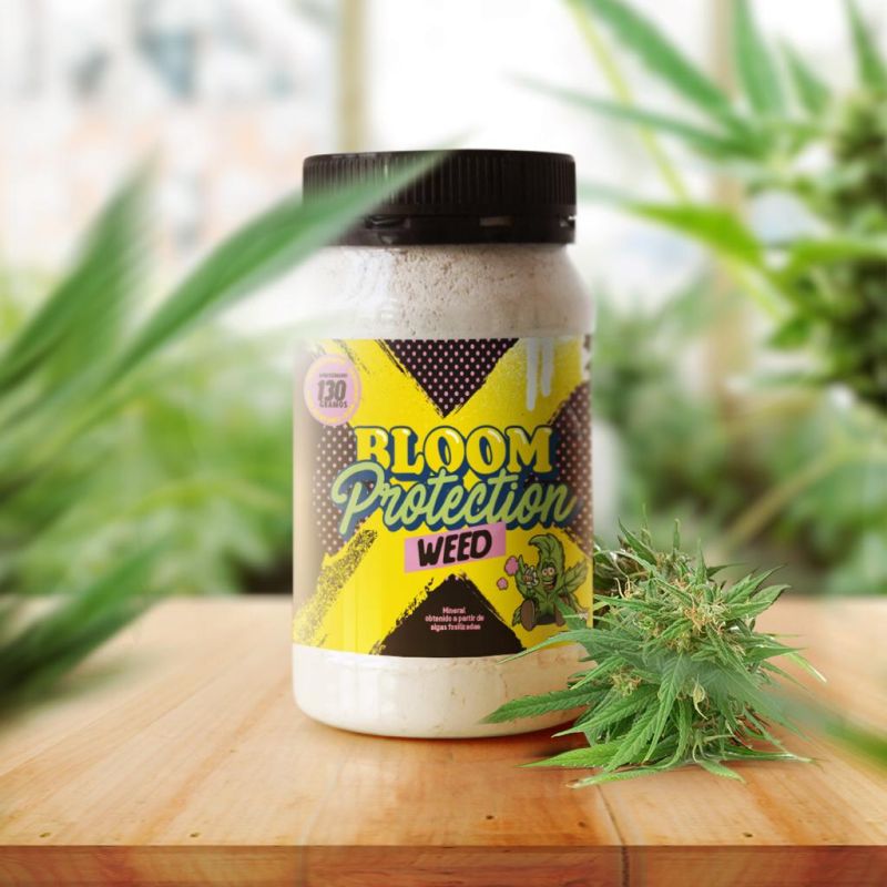 Bloom Protection Diatomeas 130g