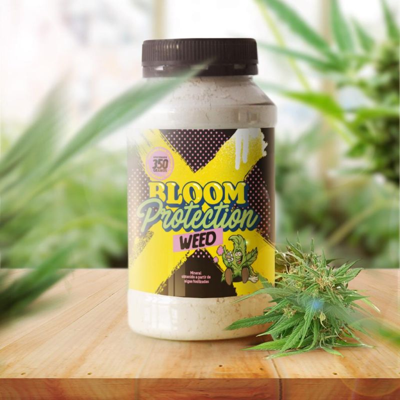 Bloom Protection Diatomeas 350g