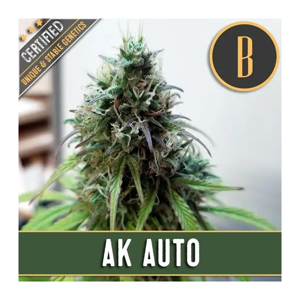 AK AUTO X3-BLIMBURN