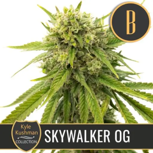 KYLE'S SKYWALKER OG FEM X3...