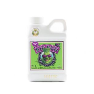 BIG BUD 250ML-ADVANCED...