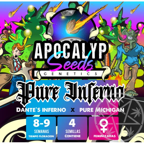 Apocalypseeds Pure Inferno Fem X3