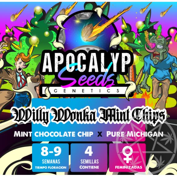 Apocalypseeds Willy Wonka Mint Chips Fem X3