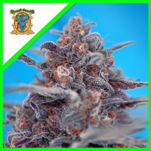 DEVIL CREAM  AUTO®...