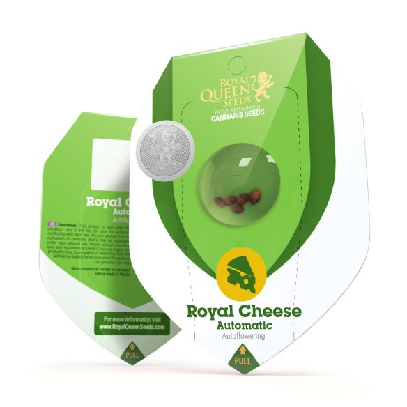ROYAL CHEESE AUTO X3-ROYAL QUEEN SEEDS