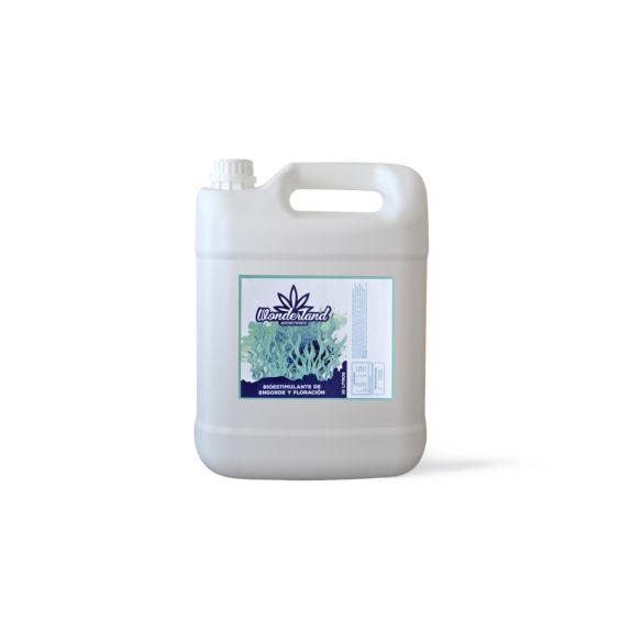 FERTILIZANTE DE ENGORDE Y FLORACION B+C 10LT-WONDERLAND