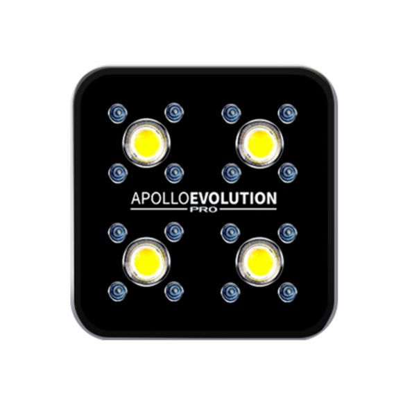 APOLLO EVOLUTION PRO 4 150W-DELIGHT