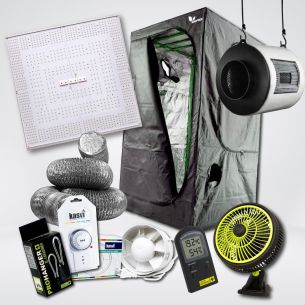 KIT QUANTUM C320 MEDIO...
