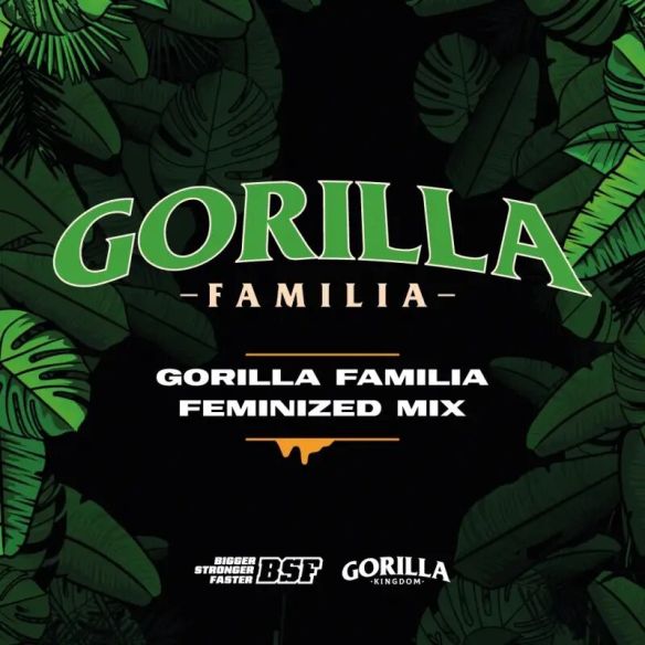 GORILLA FAMILIA FEM X12 -BSF