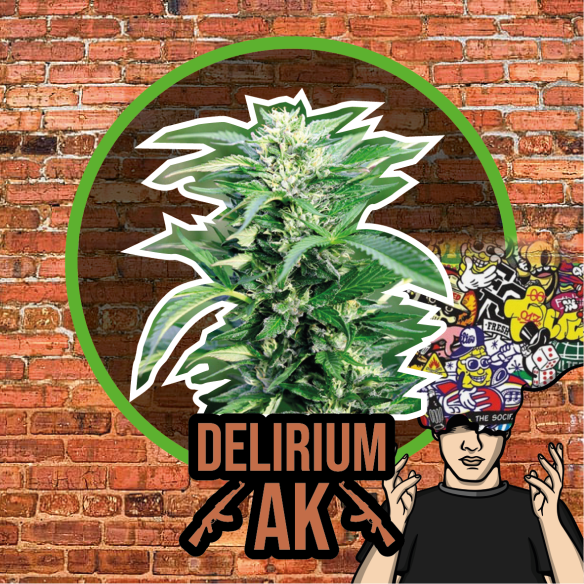 DELIRIUM AK AUTO X1-DELIRIUM SEEDS