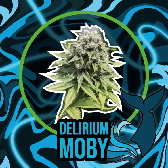 Delirium Seeds Delirium Moby Fast Version X1