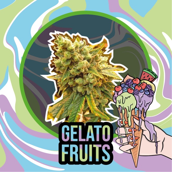 Delirium Seeds Gelato Fruits Auto X2