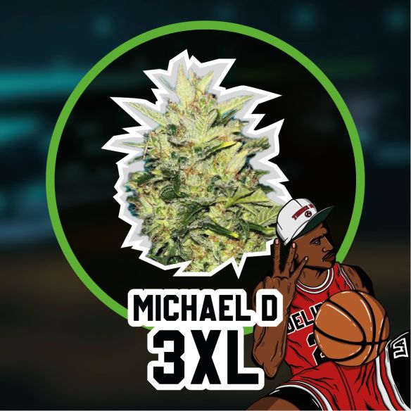 MICHAEL D 3XL AUTO X1-DELIRIUM SEEDS