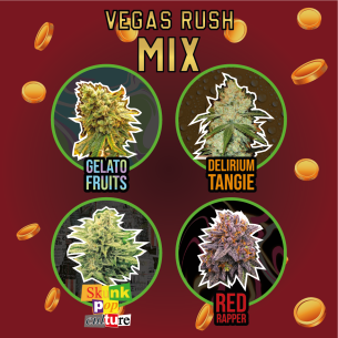 MIX VEGAS RUSH FEM...