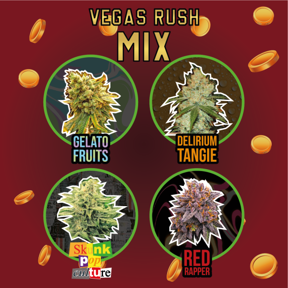 Delirium Seeds Mix Vegas Rush Fem X4