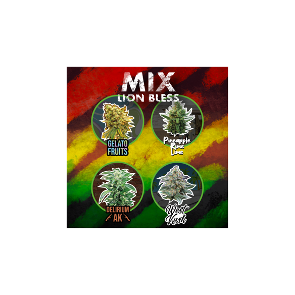 MIX LION BLESS FEM X4-DELIRIUM SEEDS