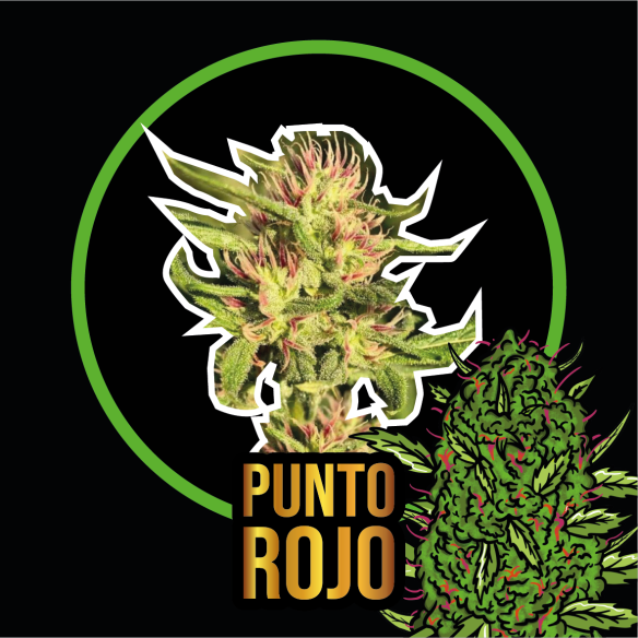 PUNTO ROJO AUTO X2-DELIRIUM SEEDS