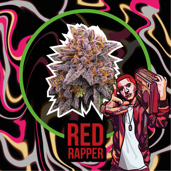 Delirium Seeds Red Rapper Auto X1