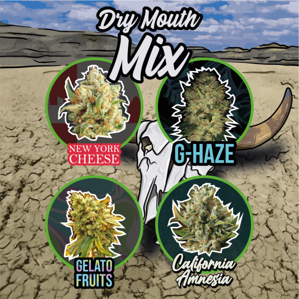 Delirium Seeds Mix Dry Mouth Line Auto X4