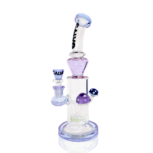 DOUBLE FUNGUS RIG -CALVO GLASS