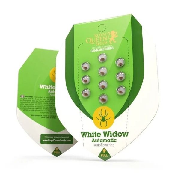 WHITE WIDOW  AUTO X10-ROYAL QUEEN SEEDS