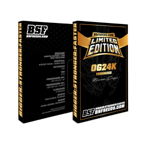 OG 24K FEM EDICION LIMITADA...