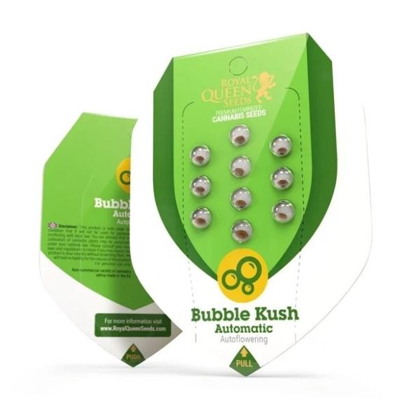 BUBBLE KUSH  AUTO X10-ROYAL QUEEN SEEDS