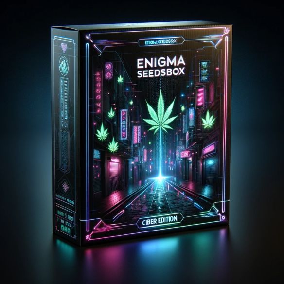 Enigma SeedsBox XS SEEDS x100