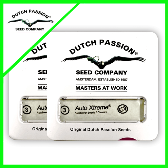 PROMOCION 2X1 XTREME AUTO X3-DUTCH PASSION