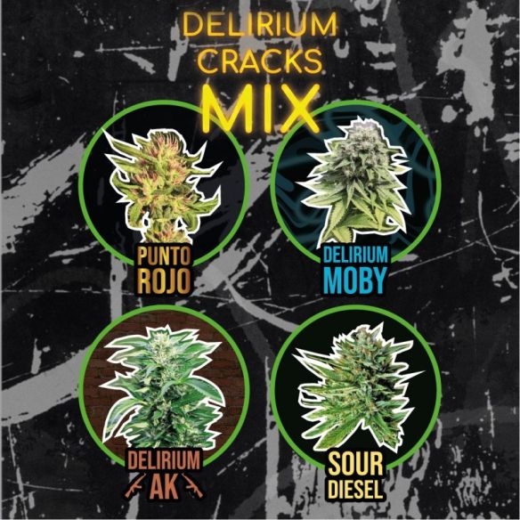 MIX DELIRIUM CRACKS AUTO X4-DELIRIUM SEEDS