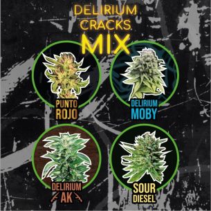 MIX DELIRIUM CRACKS FEM...