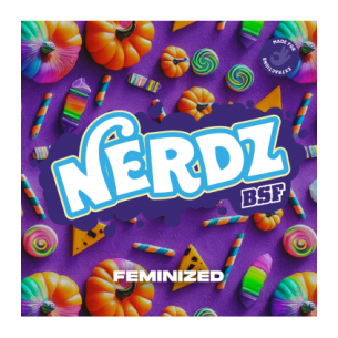 NERDZ X4 - BSF