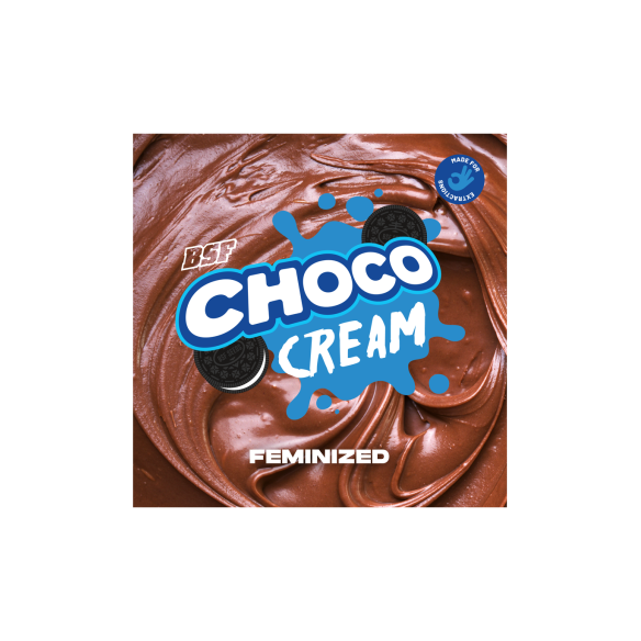 CHOCO CREAM X4 - BSF