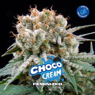 CHOCO CREAM FEM X4-BSF