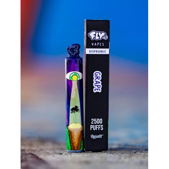 VAPORIZADOR 2500 GRAPE-FLY IS